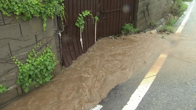 [날씨] 오늘 밤, 호남 100mm 호우...내주 장마 시작 / YTN