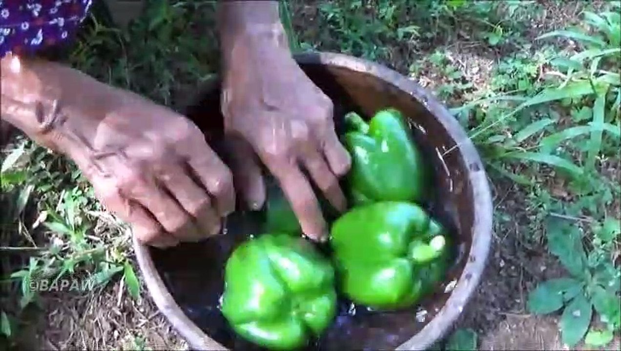Recette de pâtes  Fromage de Penne aux Crevettes / Crevettes par la grand-mère et de la Famille | la Vie du Village