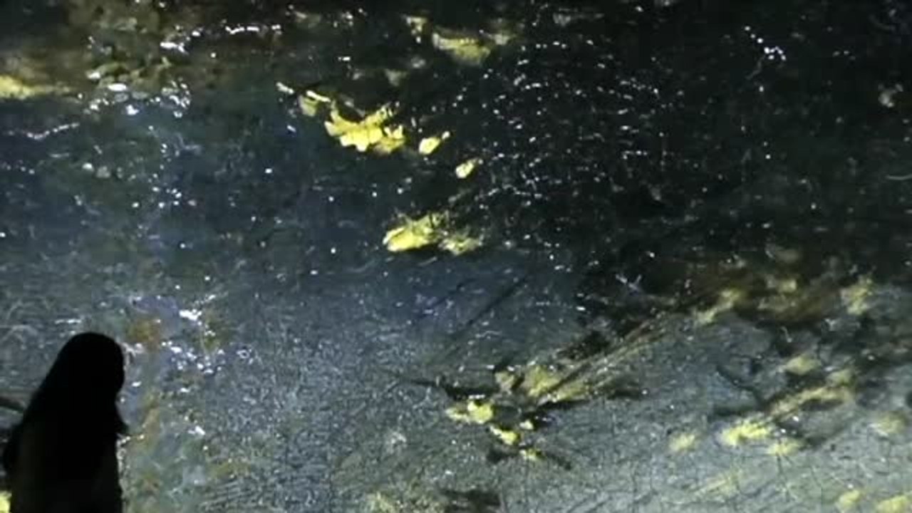 Acuerdo entre el Museo de Bellas Artes de Bilbao y la Fundación BBVA para impulsar el Programa de Becas Multiverso a la Creación en Videoarte