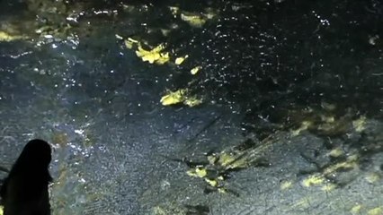 Acuerdo entre el Museo de Bellas Artes de Bilbao y la Fundación BBVA para impulsar el Programa de Becas Multiverso a la Creación en Videoarte