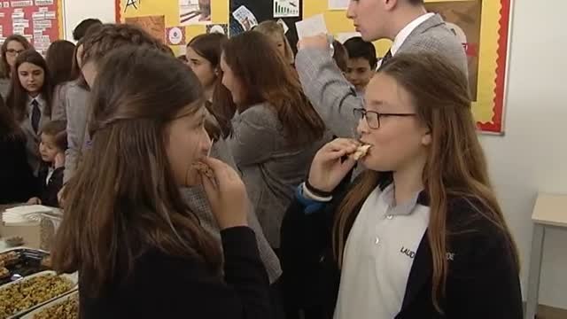 Grillos y gusanos en el menú del cole