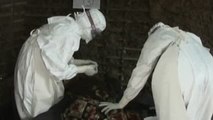 La OMS confirma un nuevo brote de ébola en la República Democrática del Congo