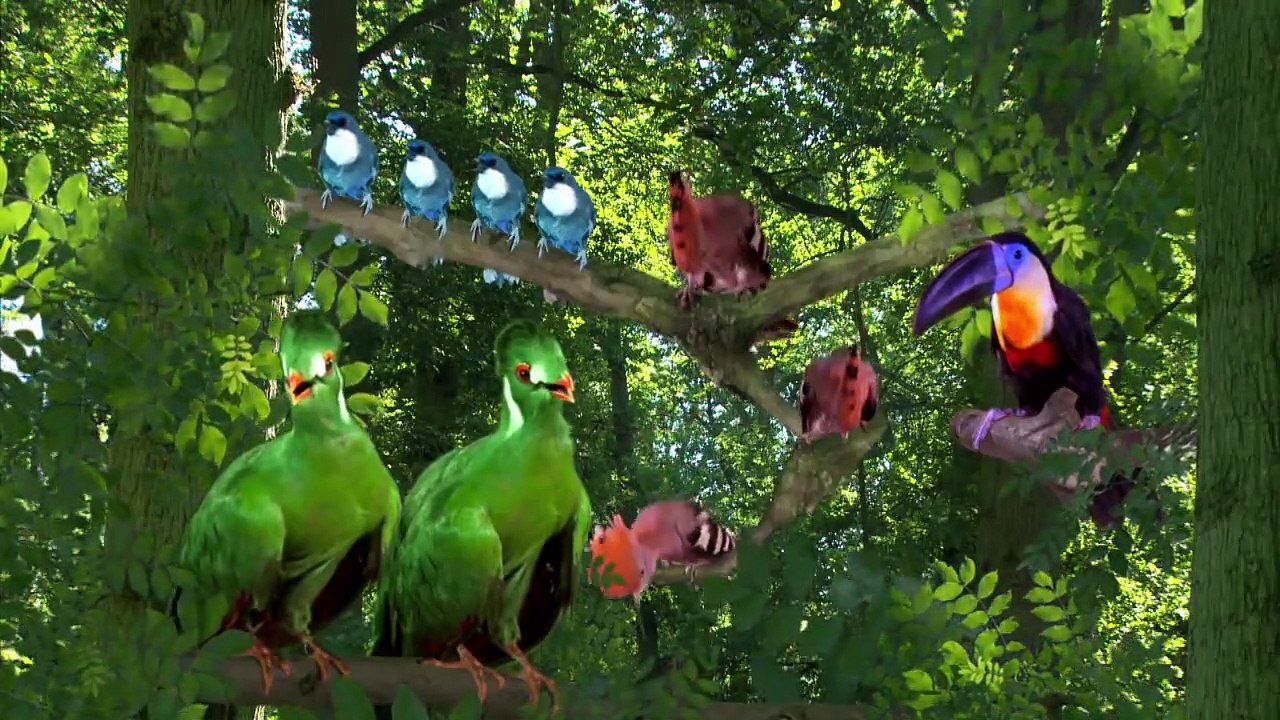 In the Night Garden 239 - Look at What the Ball Did! | fll eps Compilation | cartns for Kids prt 2/2