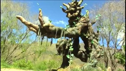 Groot y los Barbos, los guardianes del humedal de Perú