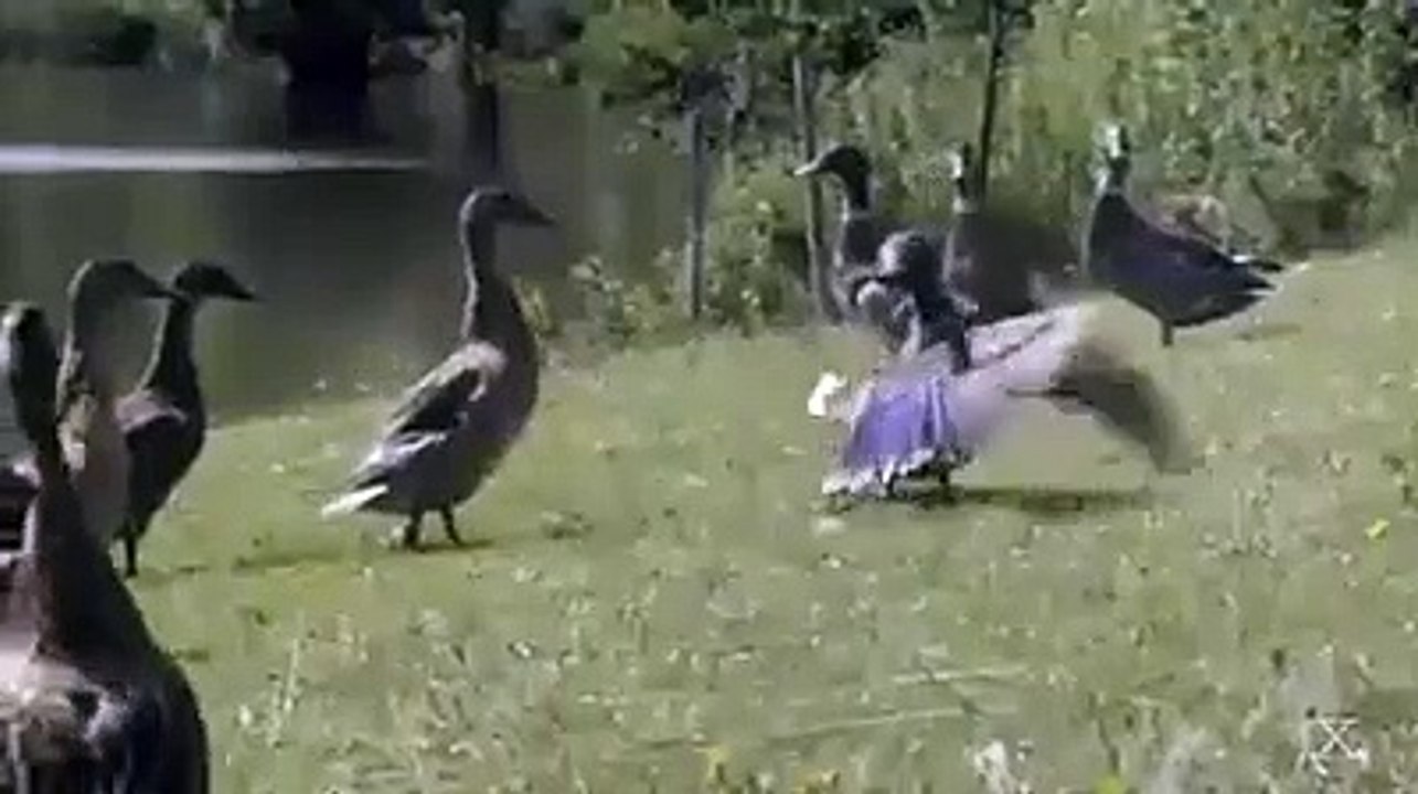 funny Mix - beat it