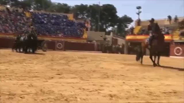 Miles de abejas atacan a un grupo de niños durante una exhibición de la Guardia Real