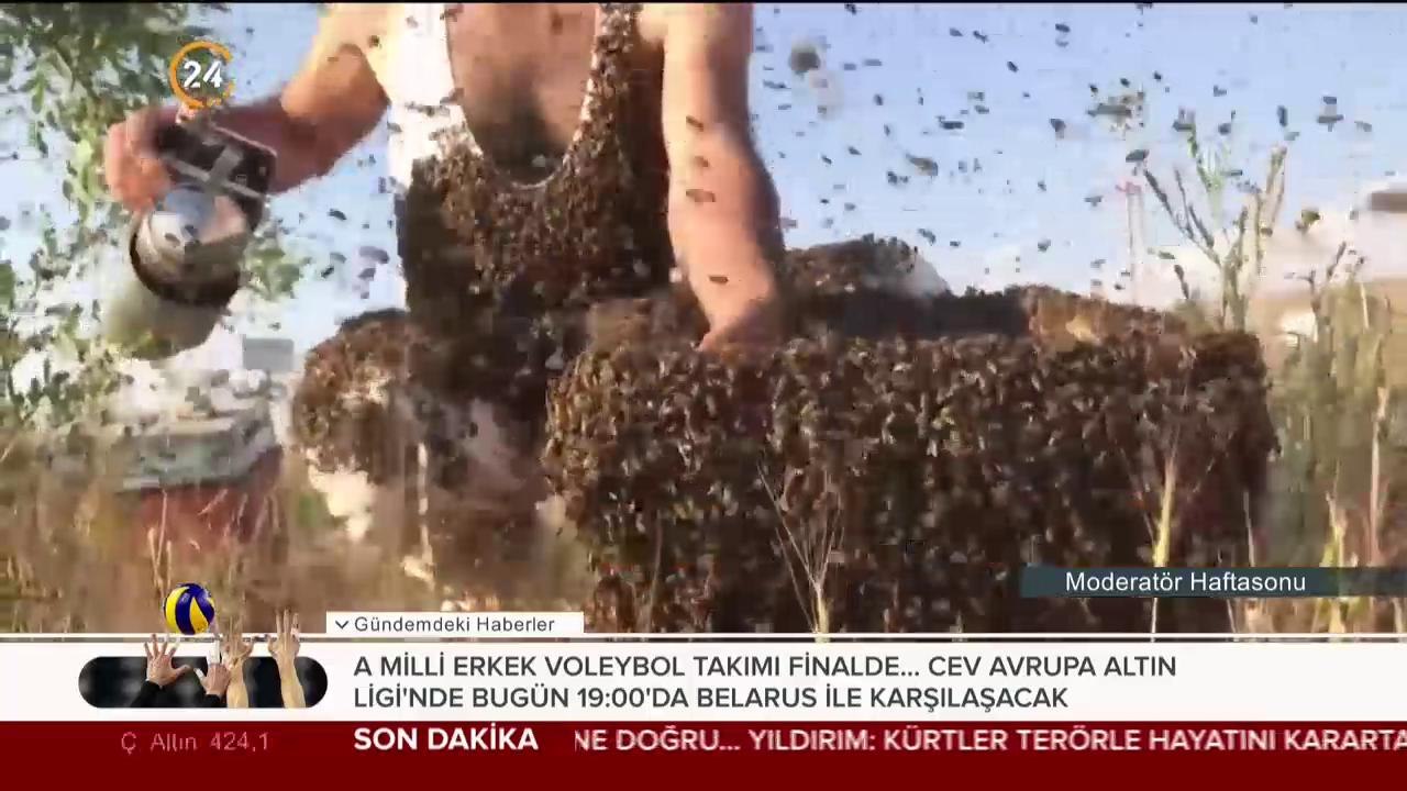 Vücudunda 10 kg arı topladı
