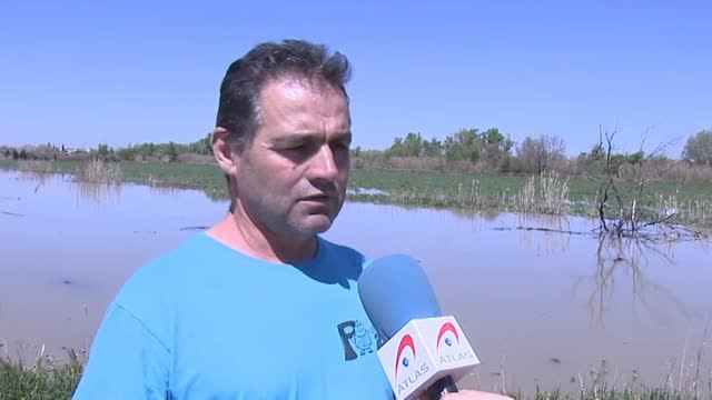 Los ganaderos obligados a cambiar a sus animales de establos para salvarles de la crecida