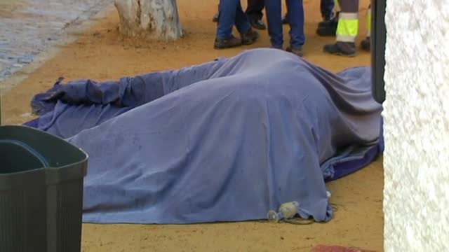 Muere un caballo en la Feria de Abril de Sevilla