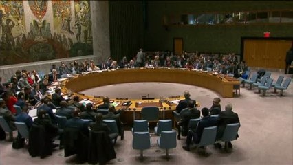 Video herunterladen: Rusia veta en la ONU una investigación propuesta por EEUU sobre los ataques químicos en Siria