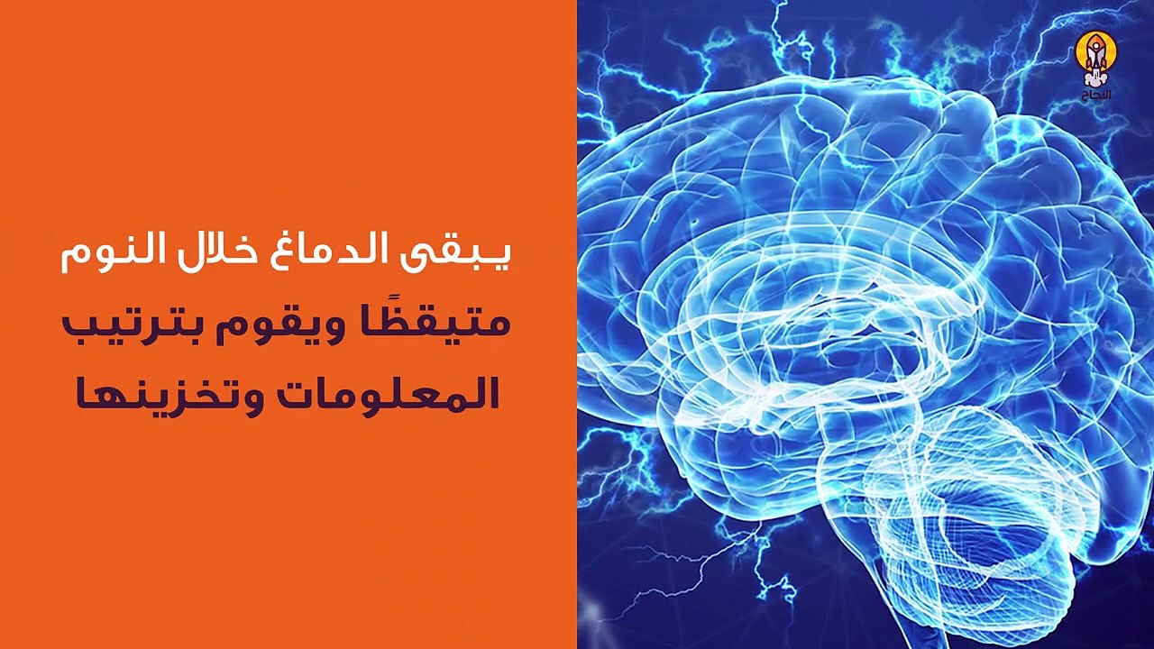 6 معلومات قد لاتعرفها عن النوم