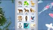 Learning Animals Names With Pictures And Sounds For Kids