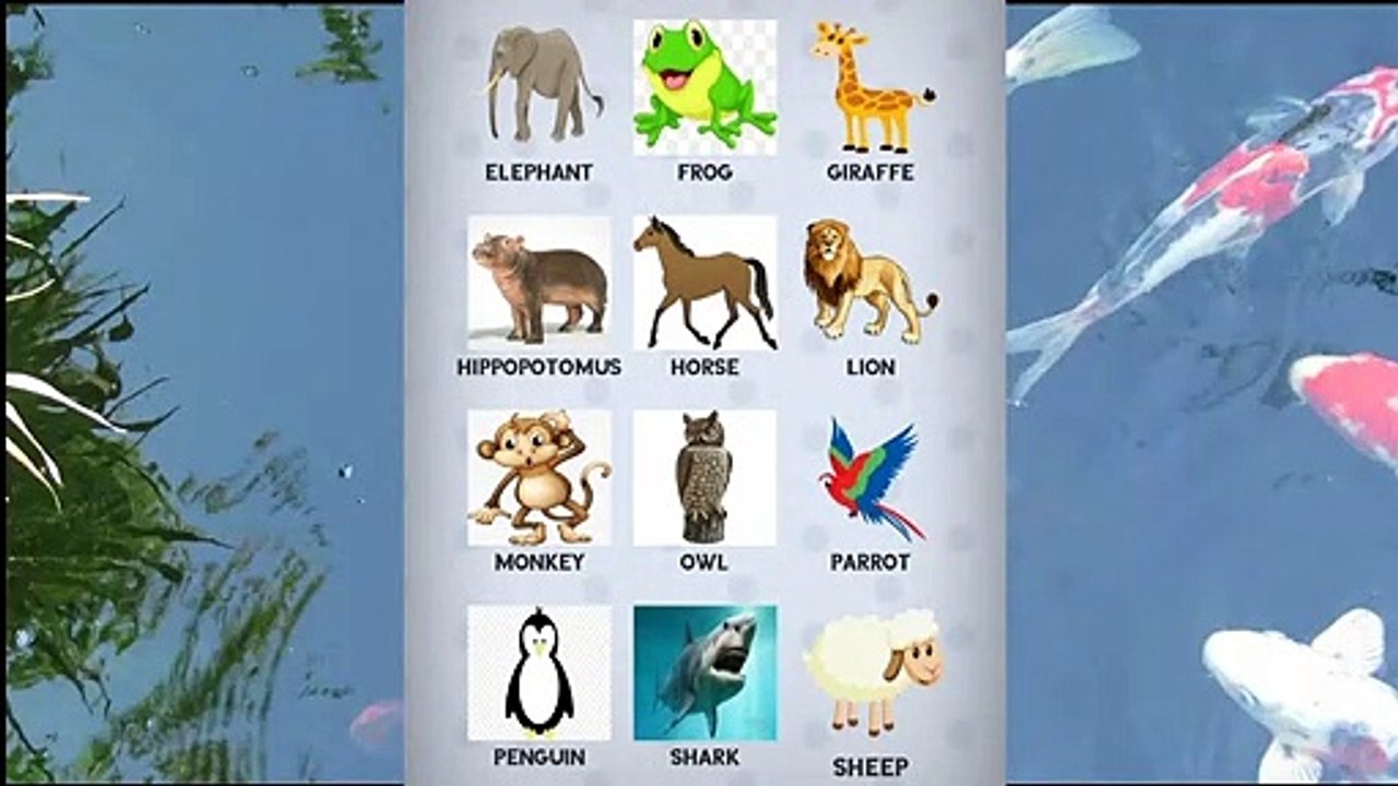 Learning Animals Names With Pictures And Sounds For Kids