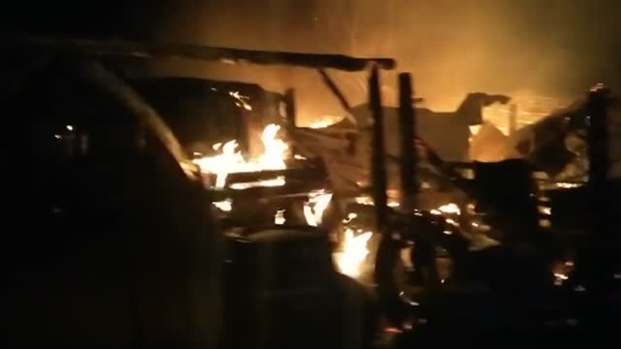 Un incendio reduce a cenizas la protectora Burrolandia en Madrid
