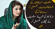 Maryam Nawaz REJECTS Shahbaz's policies