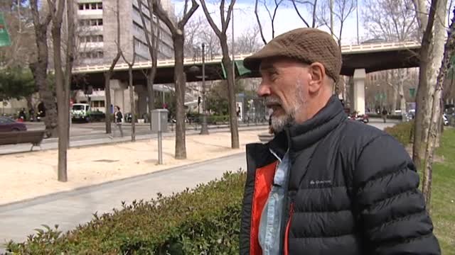 El Ayuntamiento de Madrid talará 730 árboles del Paseo de la Castellana por riesgo de caída