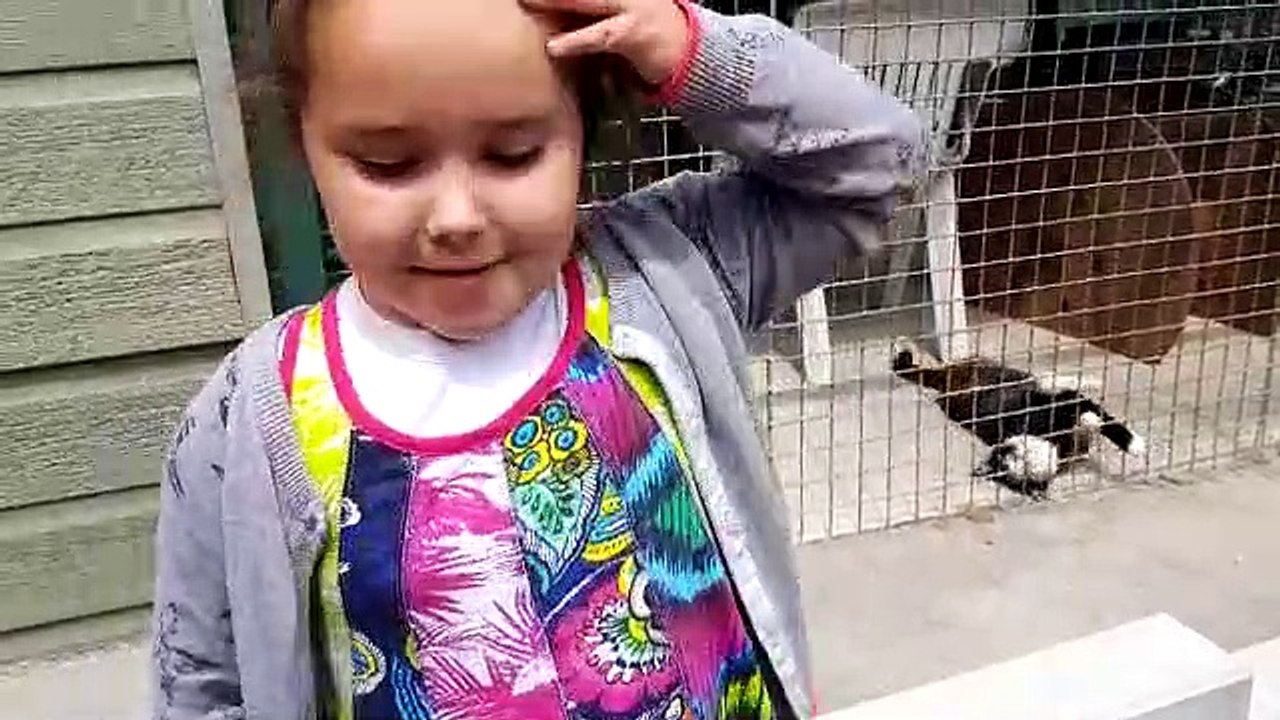 Lilou veut adopter tous les chats abandonnés du monde