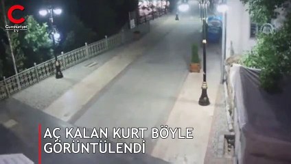 Gece saatlerinde ortaya çıktı! İşte o anlar