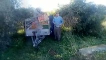 4.000 kilos de naranjas robados en una finca