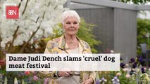 Dame Judi Dench Fights The Dog Meat Festival