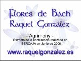 FLORES DE BACH - Raquel González - AGRIMONY