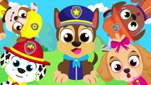 Did You See My Web? Itsy Bitsy Spider Lost her Web | Paw Patrol Chase and more by Little Angel