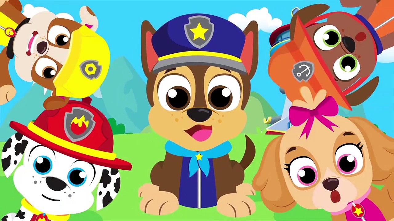 Did You See My Web? Itsy Bitsy Spider Lost her Web | Paw Patrol Chase and more by Little Angel