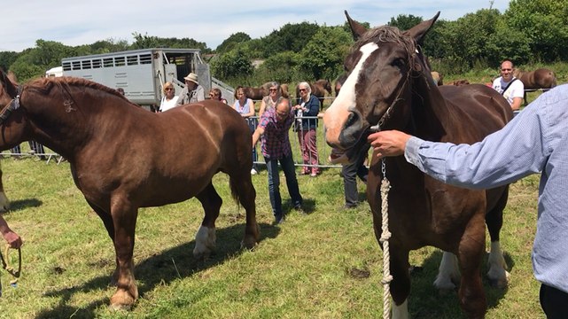 Comice agricole fouesnant