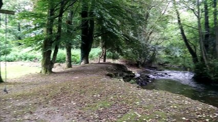 Vielsalm, Wallonia, Belgium || StayAway