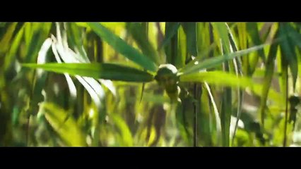 Maleficent- Mistress of Evil Teaser Trailer