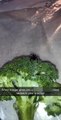 Un homme découvre une araignée veuve noire dans ses brocolis... Miam