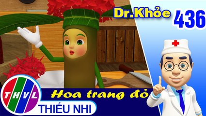 THVL | Dr. Khỏe - Tập 436: Hoa trang đỏ - Phần 1