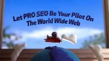 Pro SEO Dublin