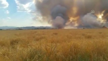 500 dönüm ekili tarla yandı