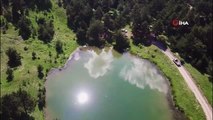 Tabiat harikası Altınpınar Limni gölü 'Tabiat Parkı' olmayı bekliyor