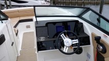 2019 Sea Ray SDX 270 Outboard Boat For Sale at MarineMax Long Island, NY