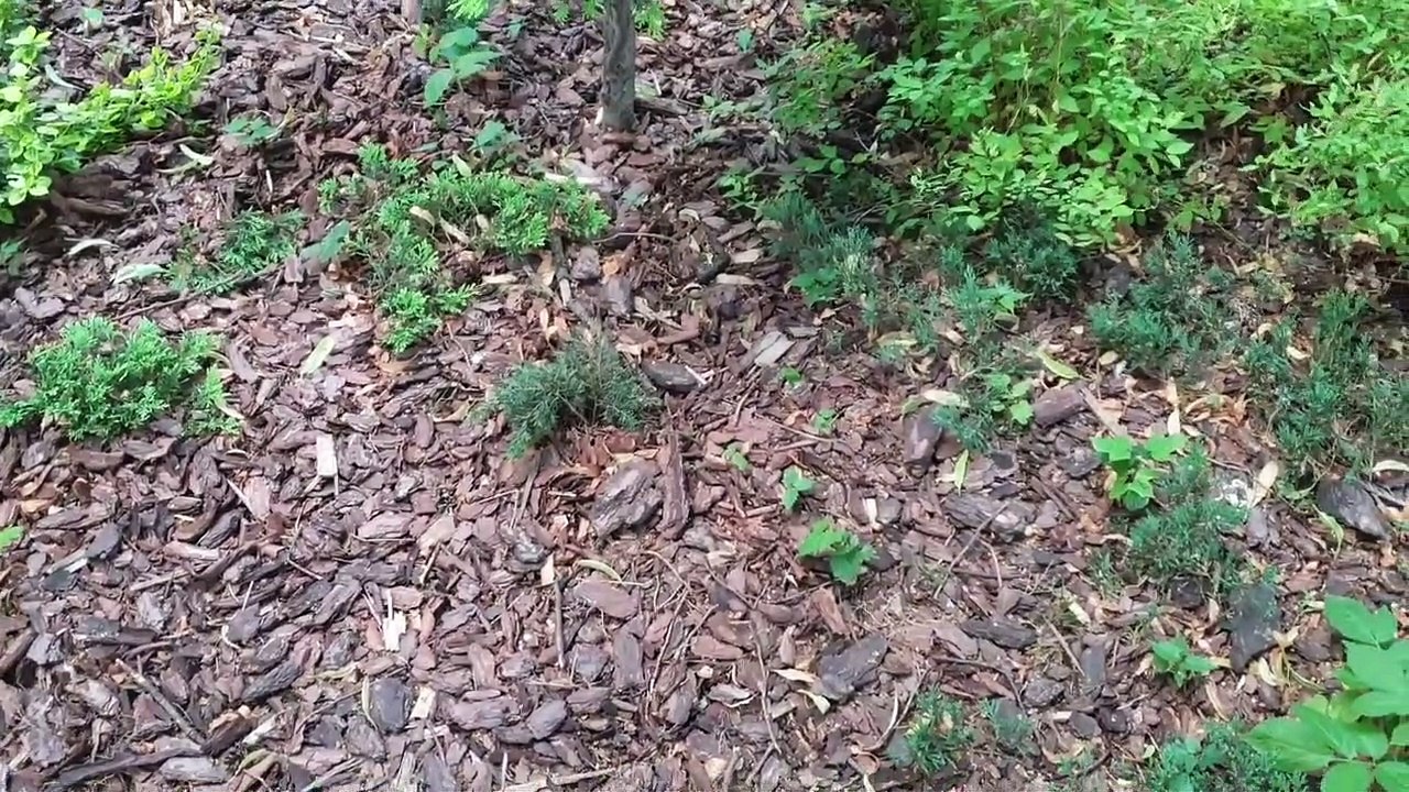 Przemyslenia z miasta