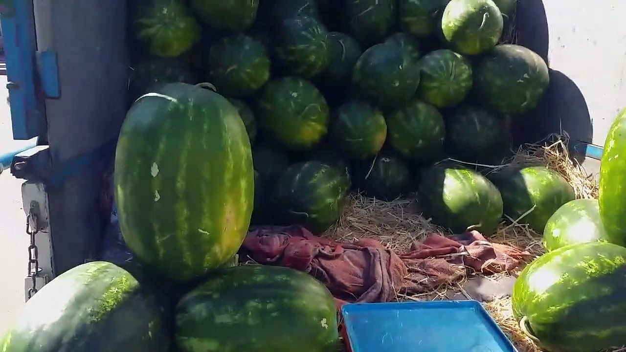 من أراد النجاح عليه بالعمل والكفاح