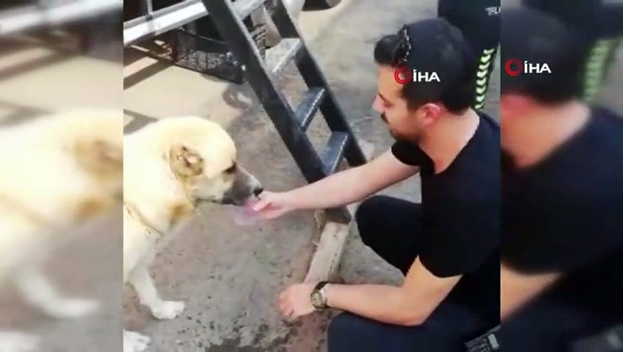Polis memurları susayan köpeğe elleriyle su verdi