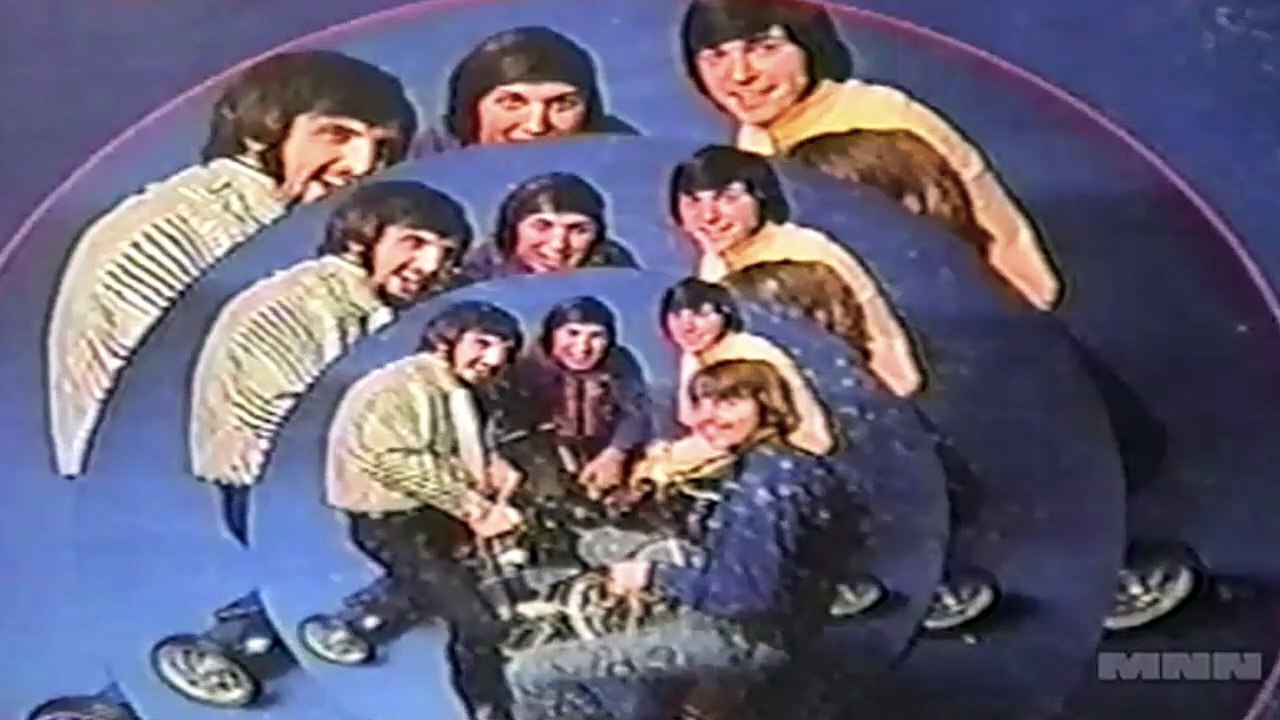 Wild Record Collection #5