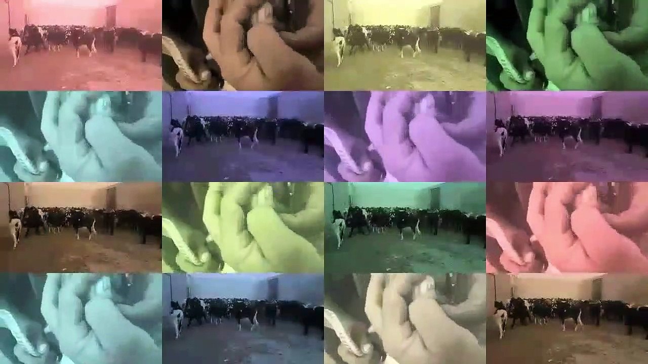 في إنتضار عيد الأضحى المبارك‬
