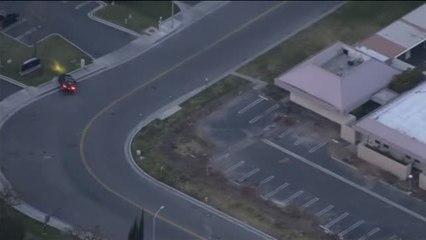 Roba un coche y termina siendo atrapado por un perro policía