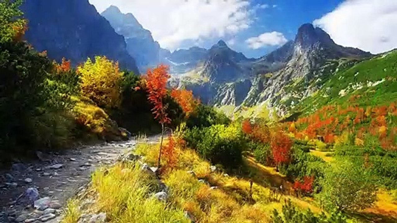 Plan B: ¿Hay una alternativa al crecimiento económico?  Antal Miklós en TEDxDanubia 2014