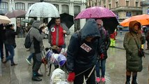 Multitudinaria manifestación en Madrid en contra de la caza con galgos y otras razas