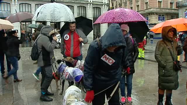 Multitudinaria manifestación en Madrid en contra de la caza con galgos y otras razas