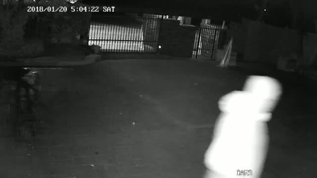 Cae una banda de ladrones de viviendas de lujo en Madrid