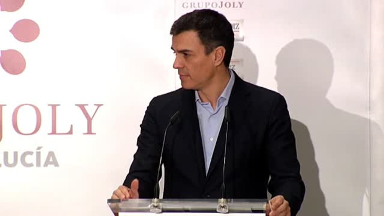 Sánchez: "Apoyaremos los recursos que el Gobierno presente ante el TC para salvaguardar la legalidad en Cataluña"