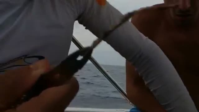 La Comisión Europea planea que todos los envases sean reciclables o reutilizables en 2030