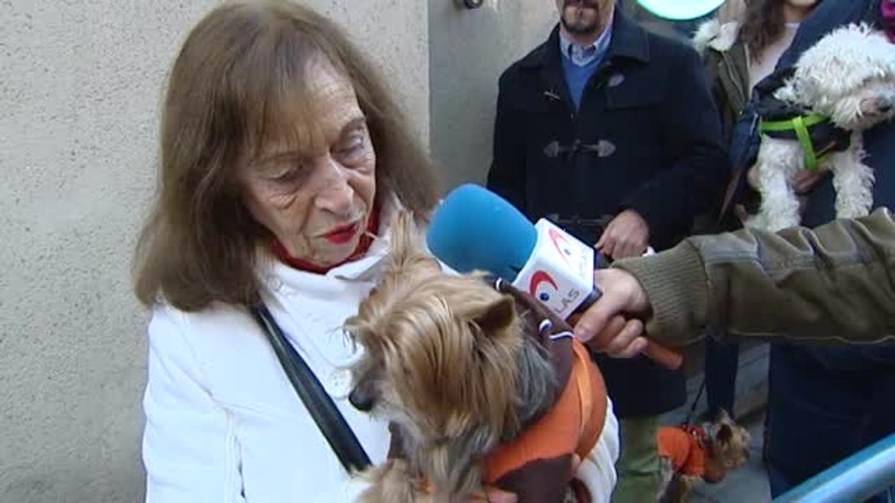 Cientos de mascotas celebran San Antón