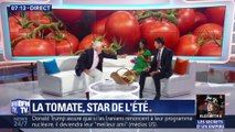 La tomate, star de l'été